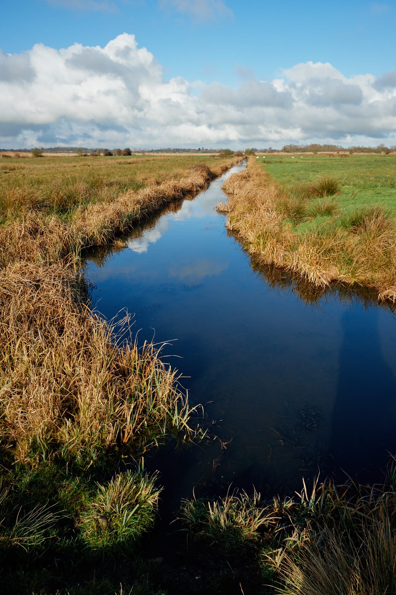 corner of a drainage channel