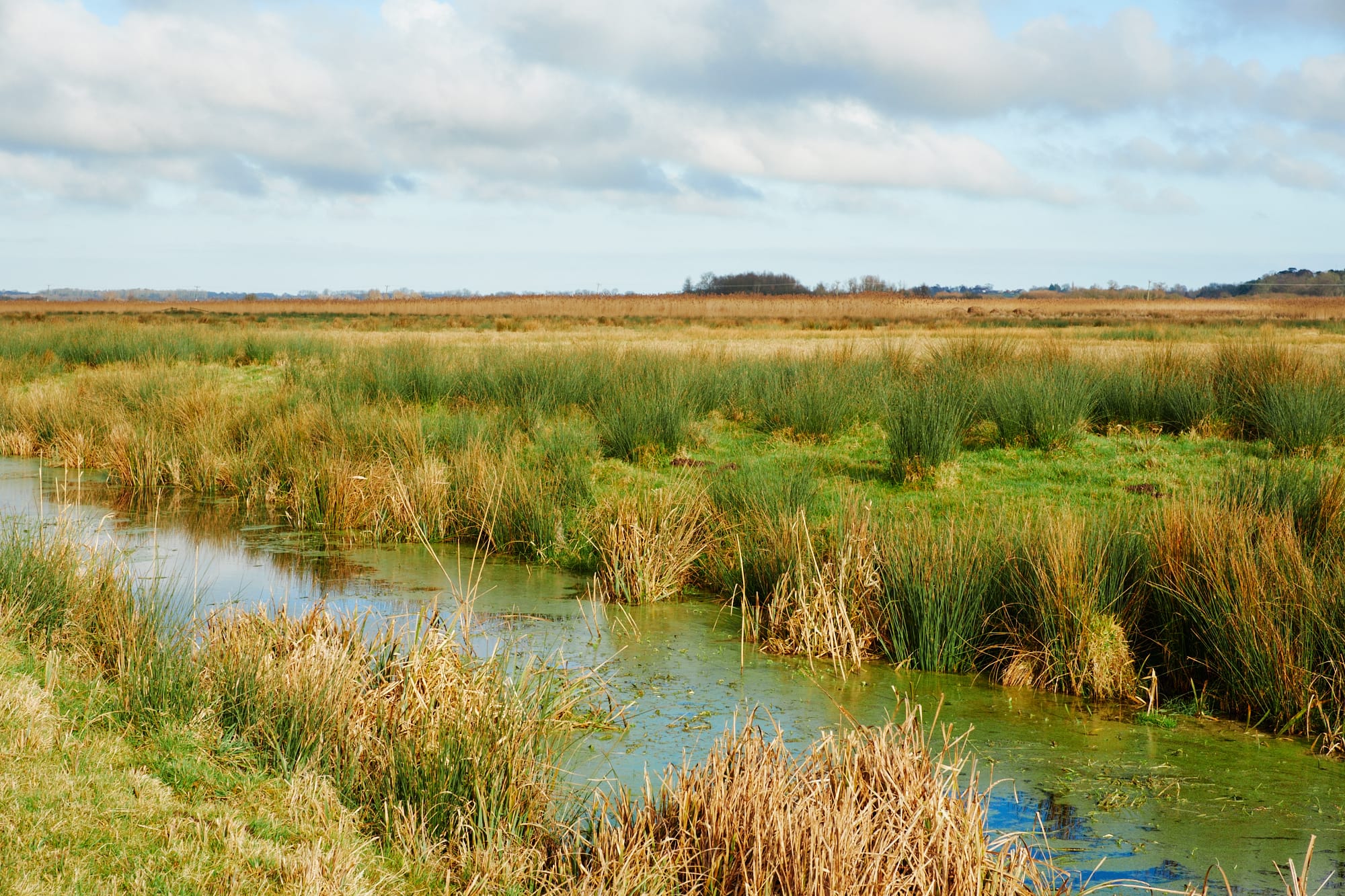 drainage channel and fields