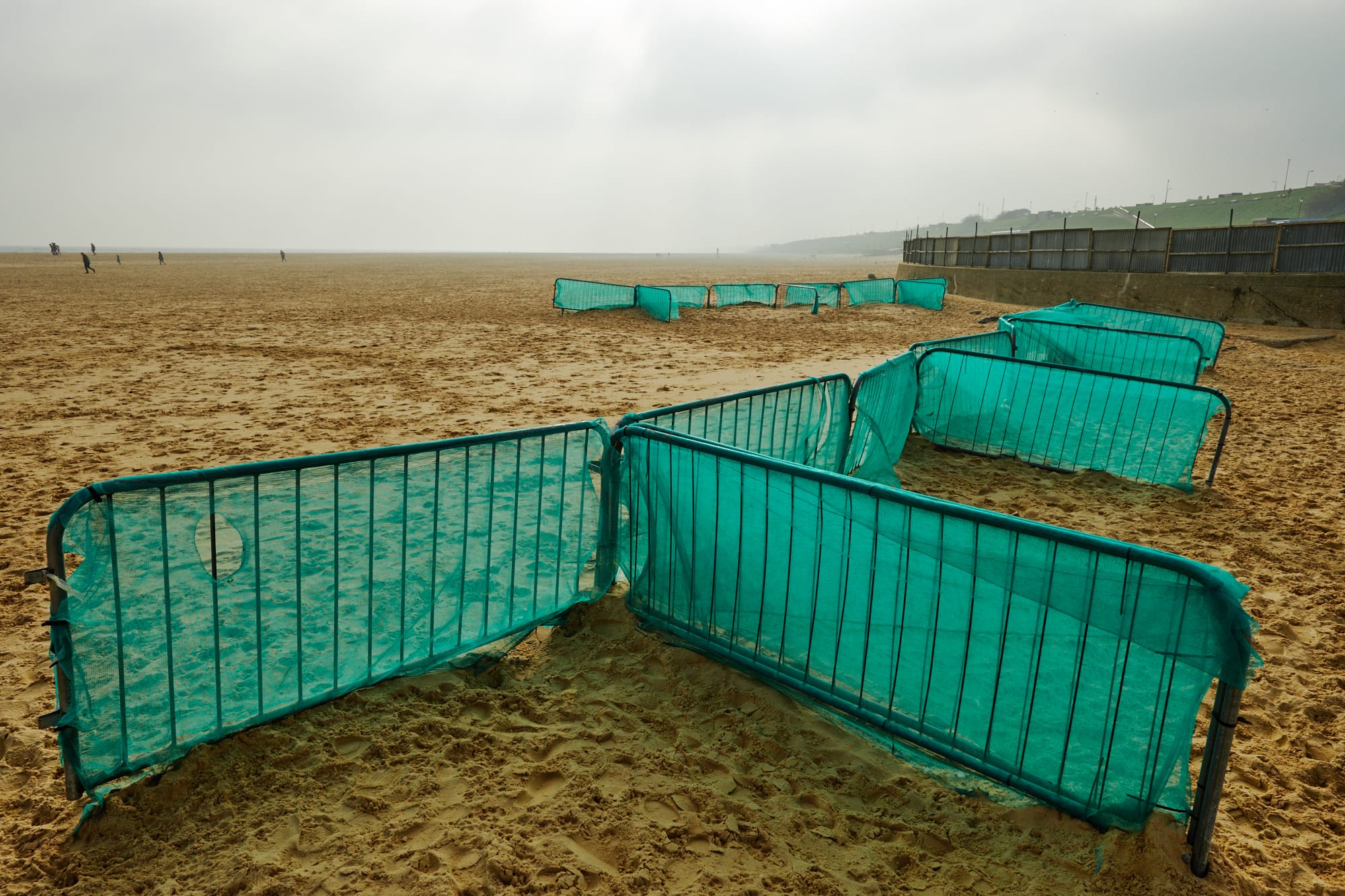 green windbreaks on the beach