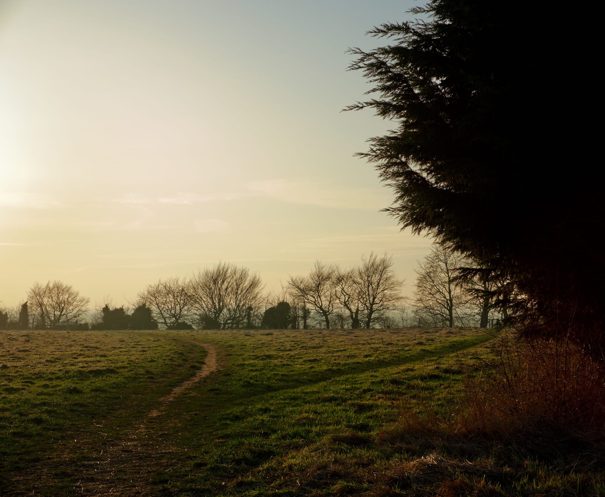 footpath to the fort