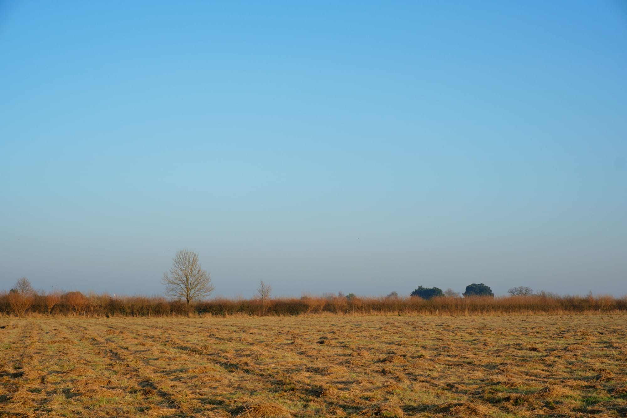 grassland to the east of the fort