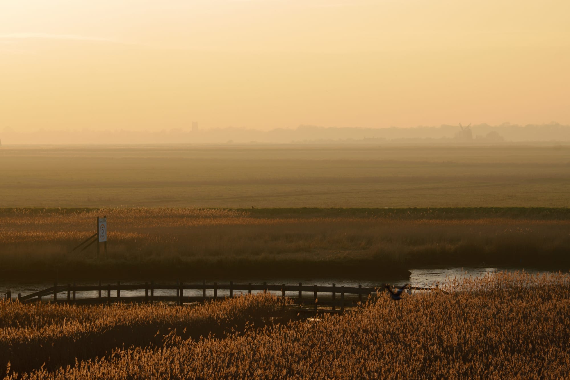 speed limit sign on the River Waveney