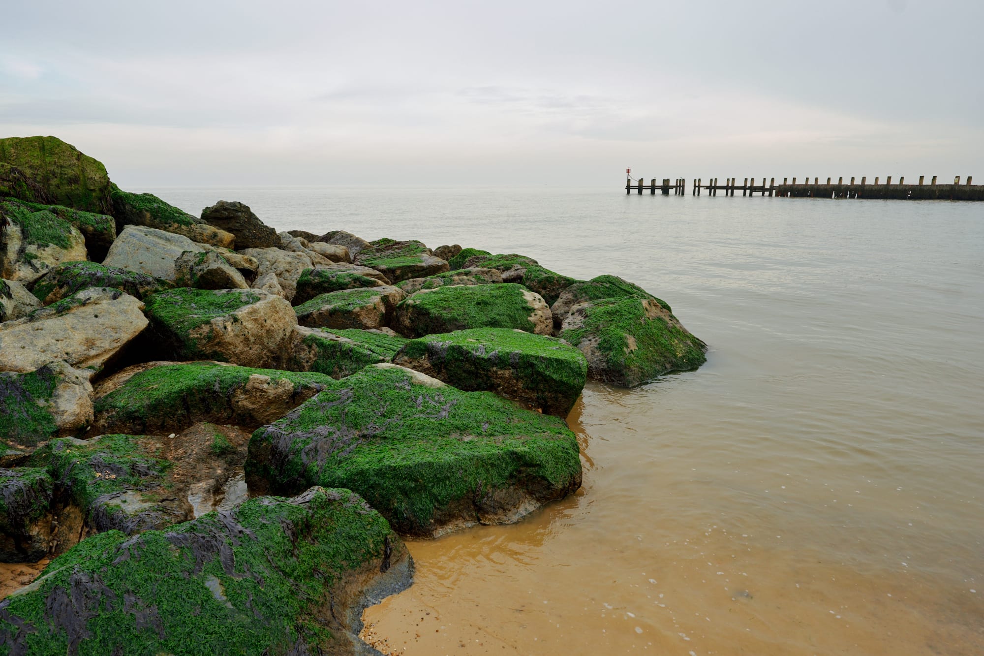 seaweed-covered rocks and groyne