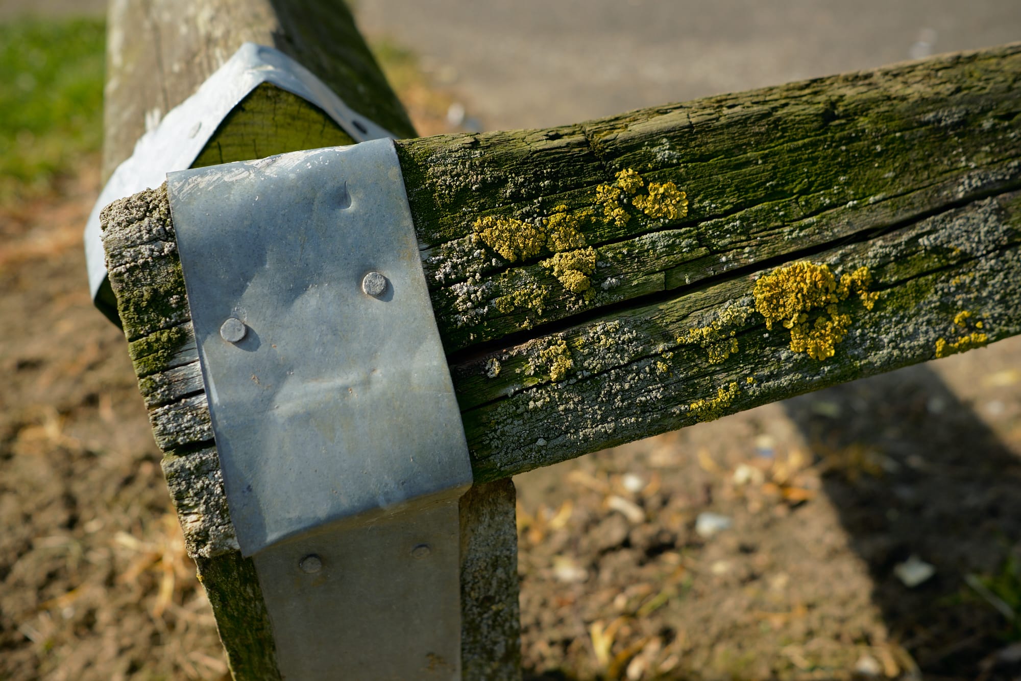 close view of short fence corner encrusted with lichen