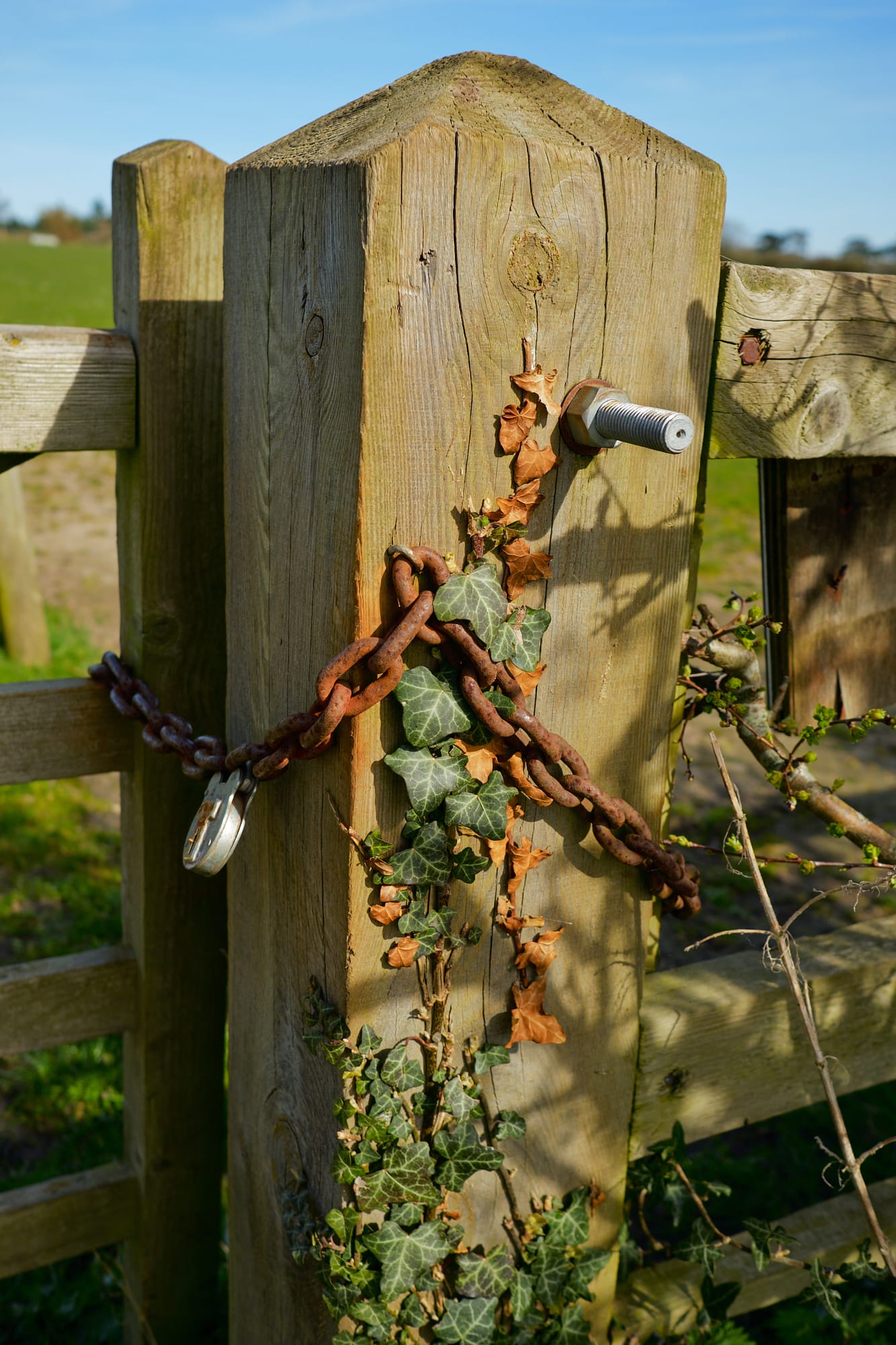 rusty chain around gatepost
