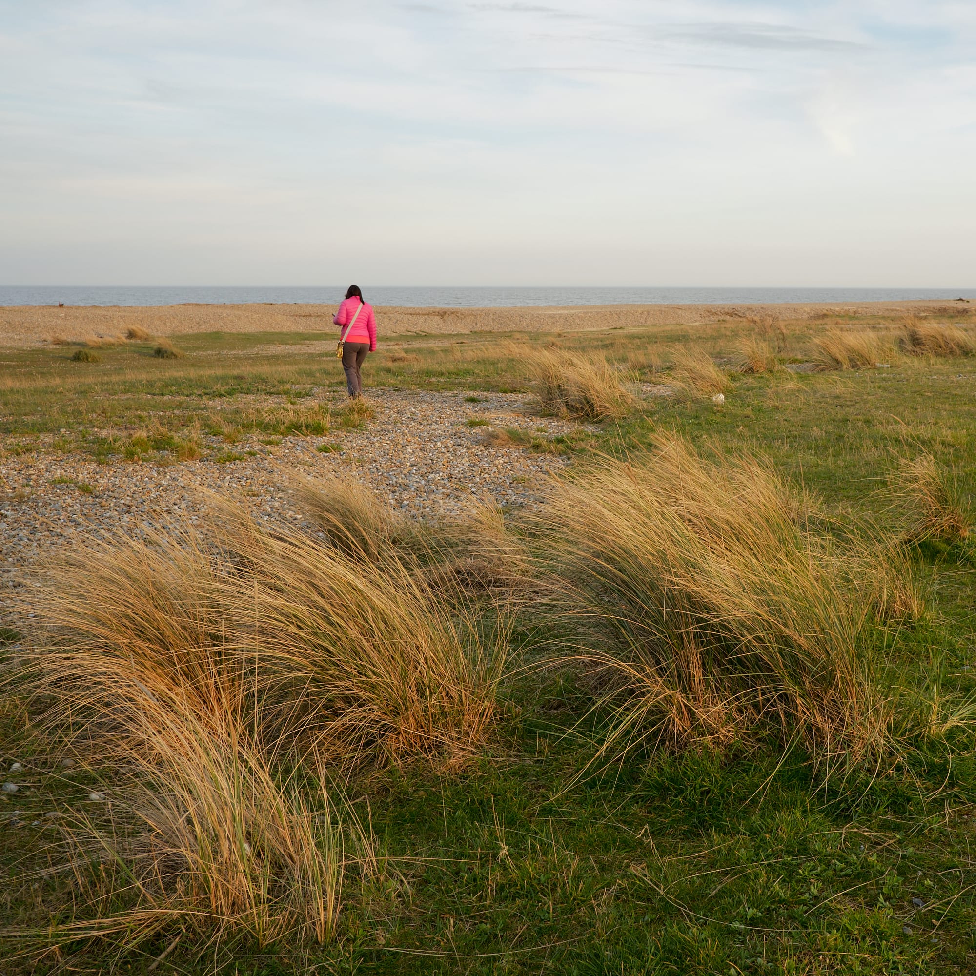 Zoe beyond some beach grass