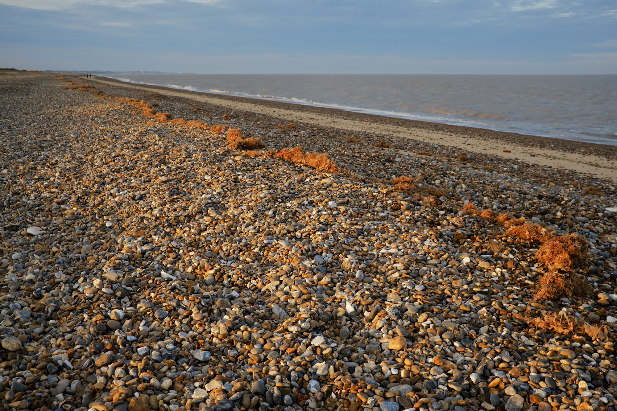 sidelit beach pebbles