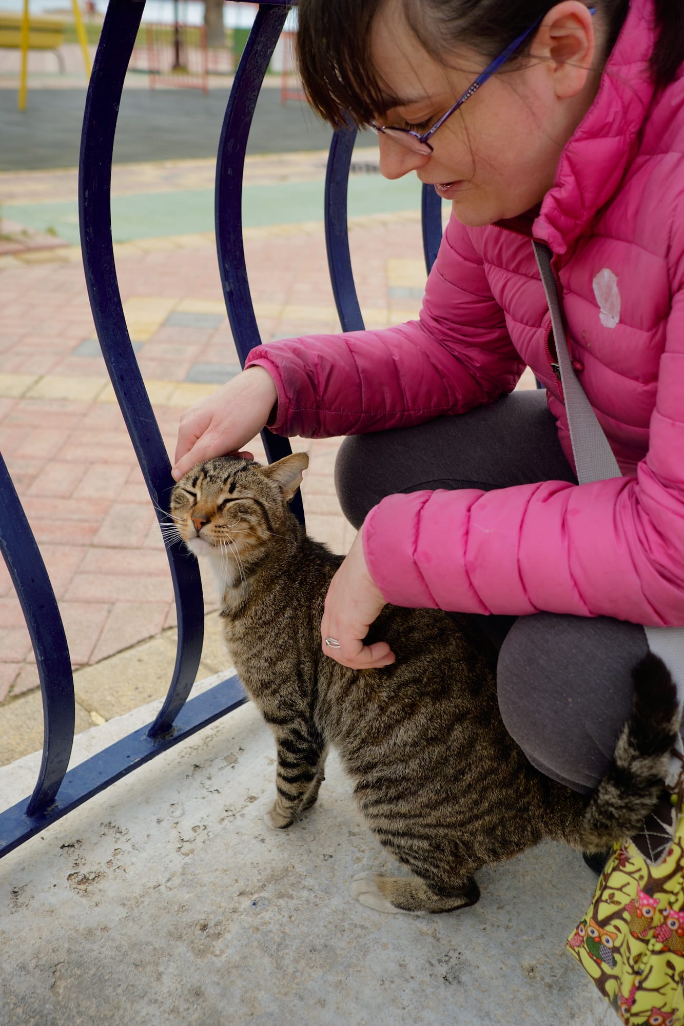 Zoe and a friendly cat