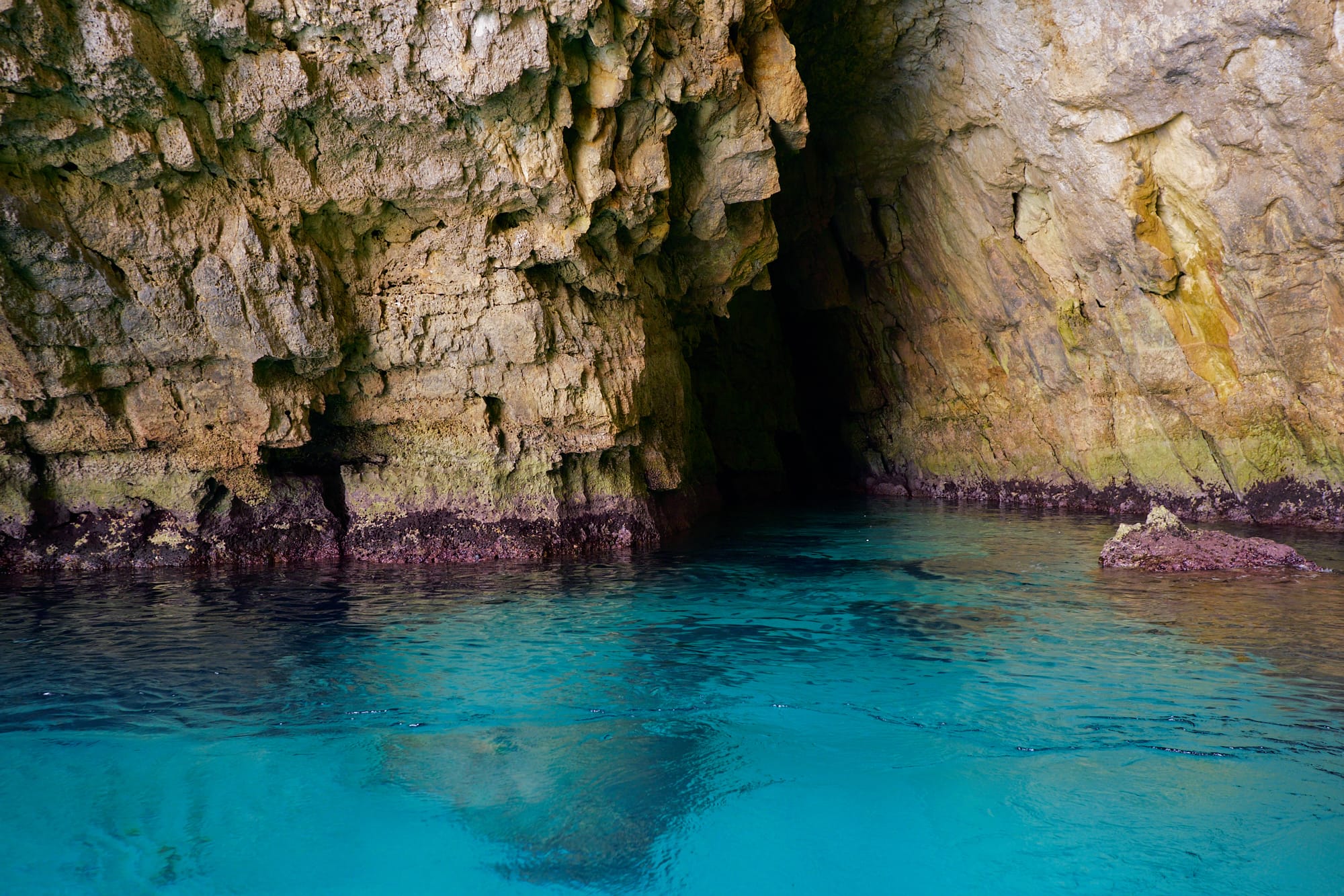 blue water in the Grotto, with purple waterline visible