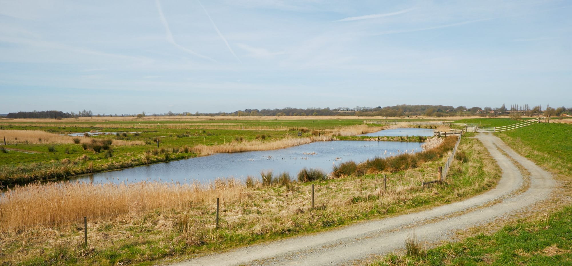 Carlton Marshes