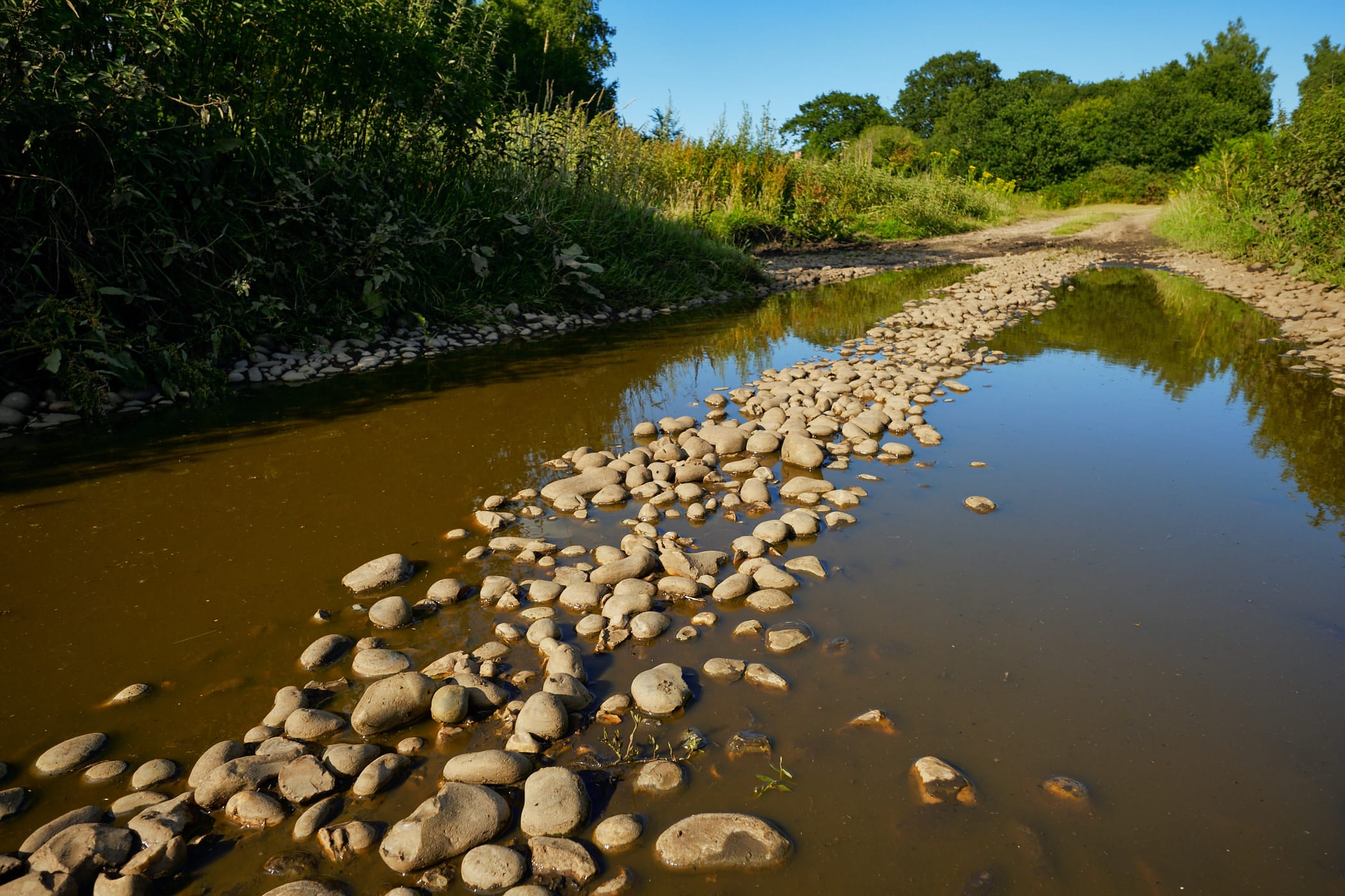 trail of stones over a large puddle
