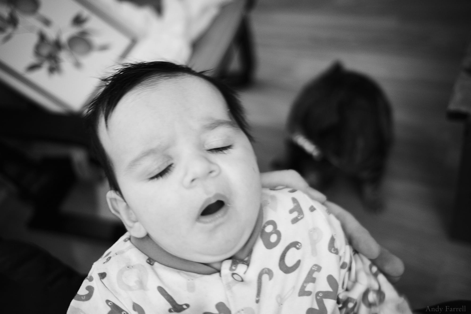 Emily about to sneeze, with Tabbster Cat in the background