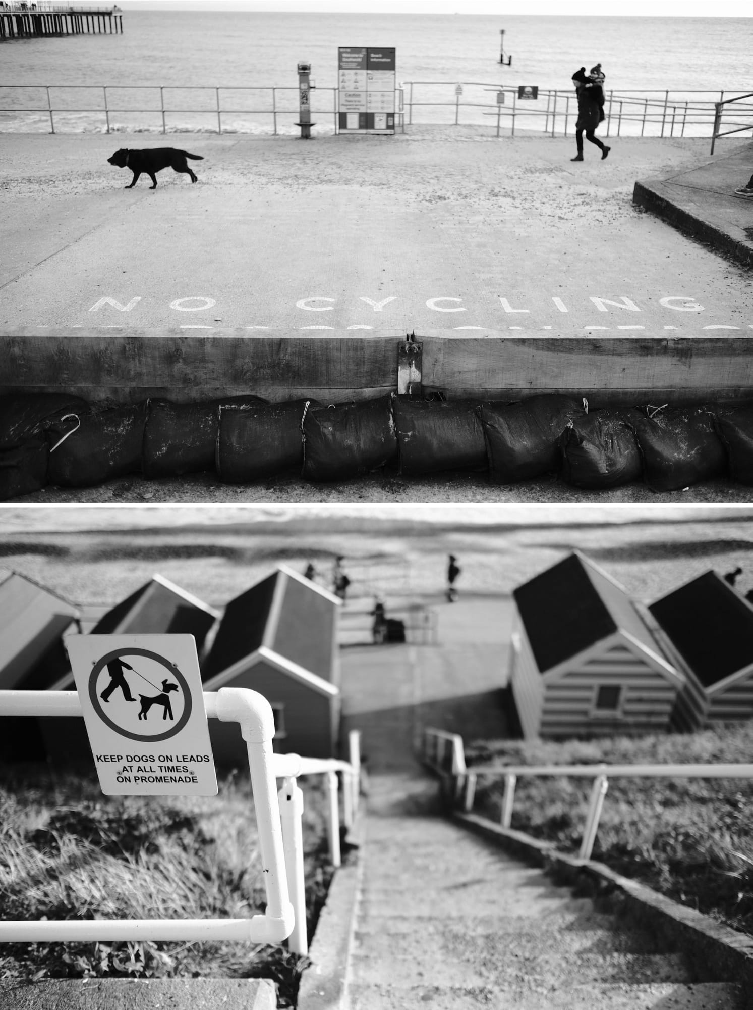 dog running on seafront / steps down to seafront