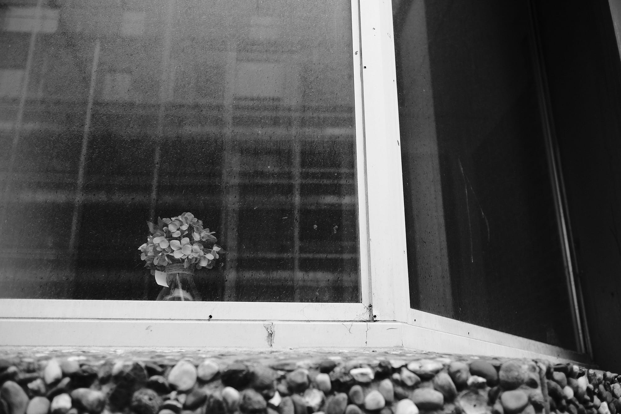 artificial flowers in an office window