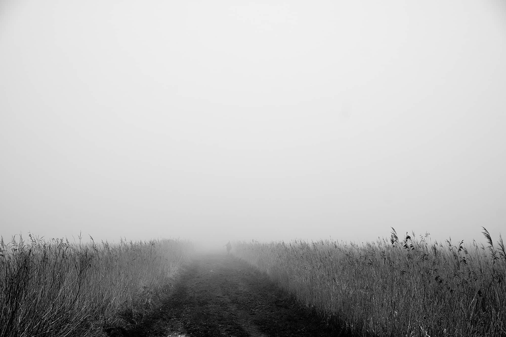path vanishing into fog