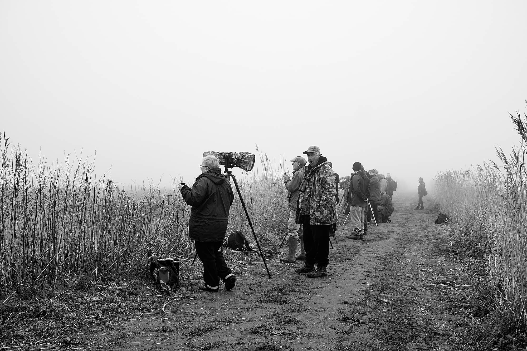 birdwatchers hoping to see an American Bittern