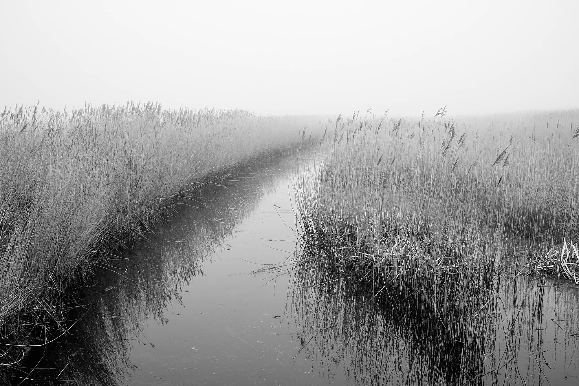 waterway vanishing into fog
