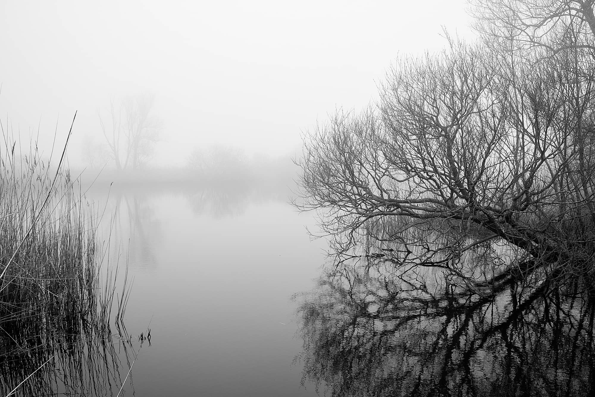 reflections on a lake