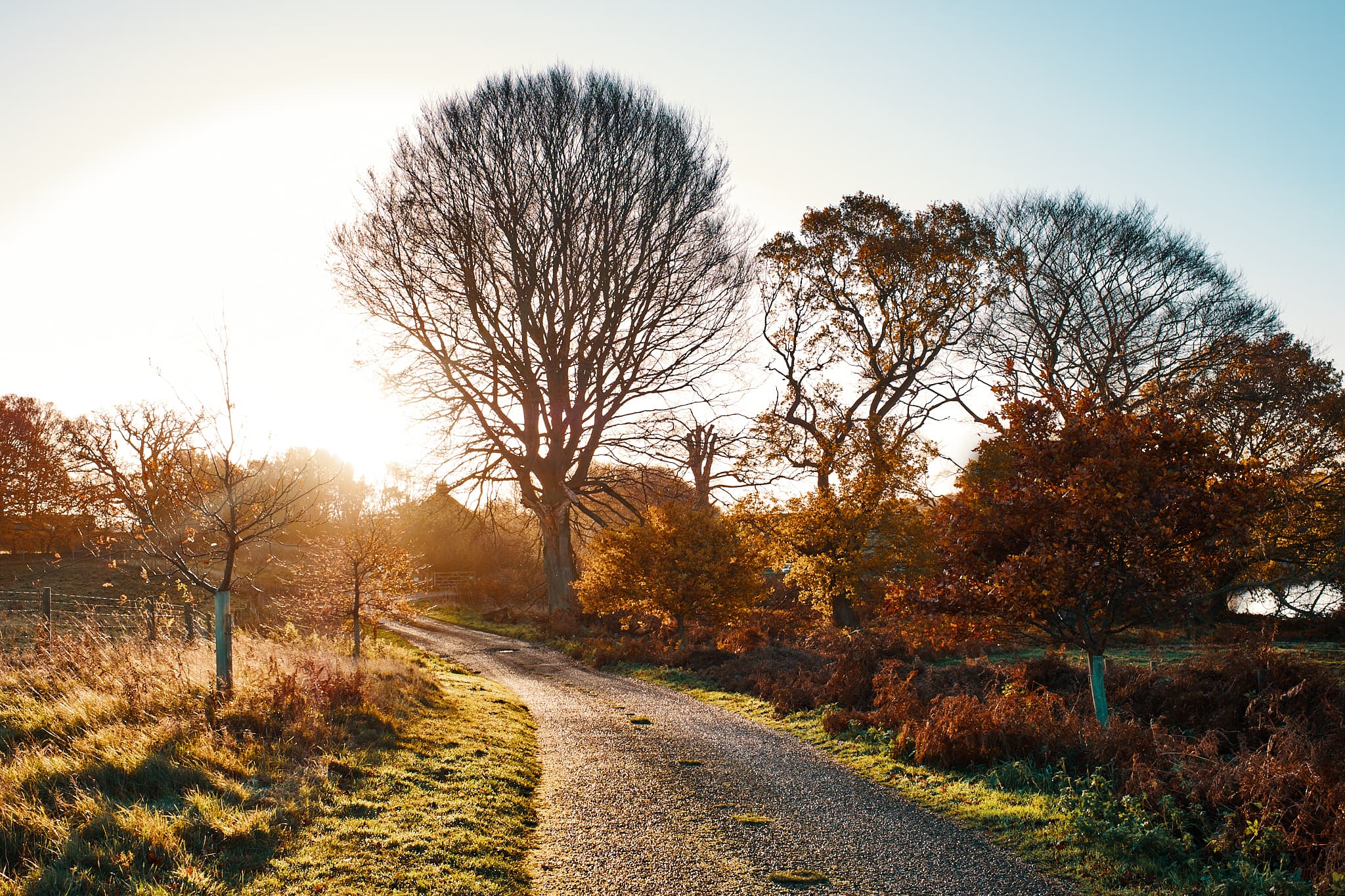 the gravel road leading to Lound Lakes