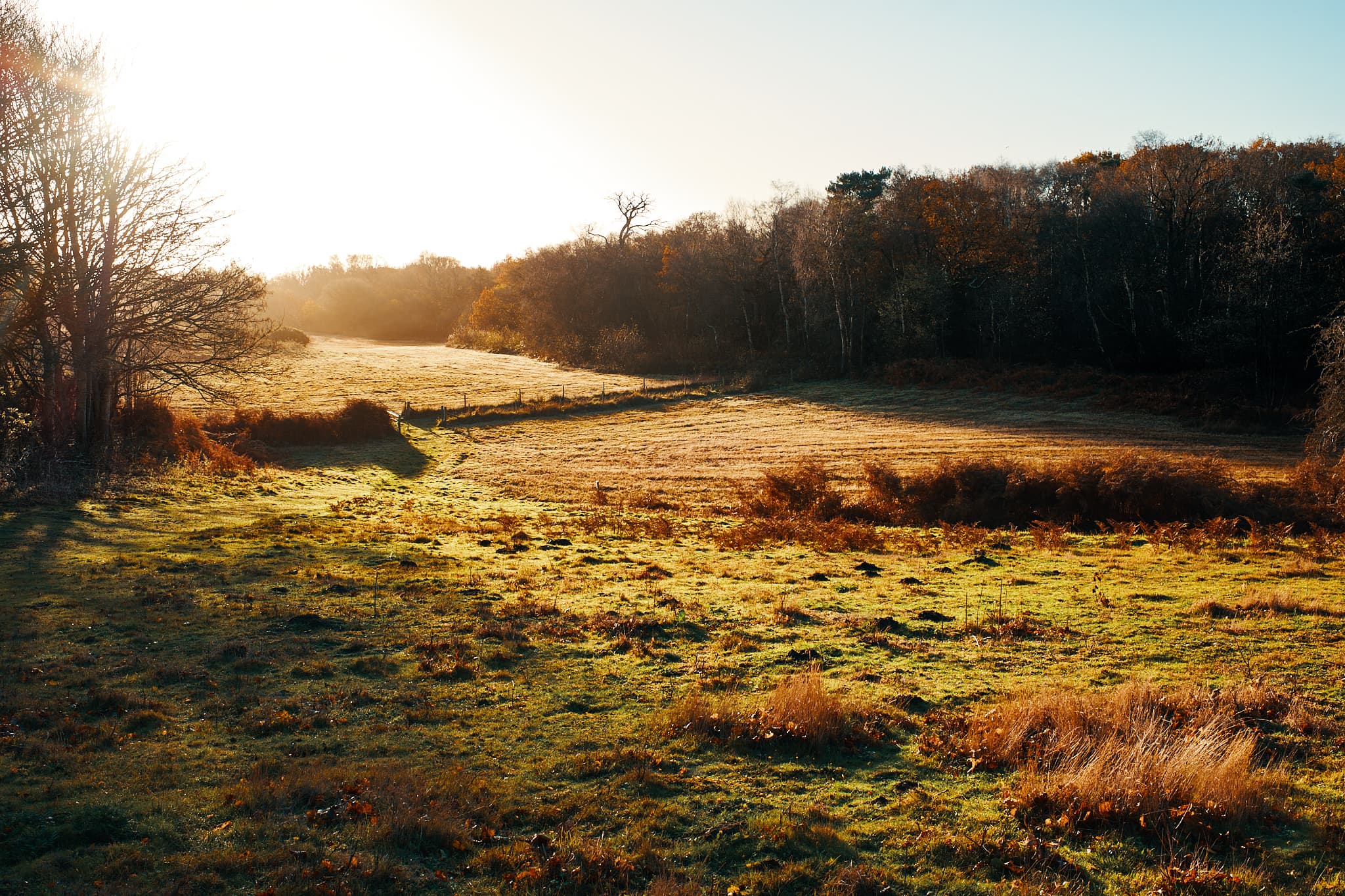 sunrise over the fields next to Lound Lakes