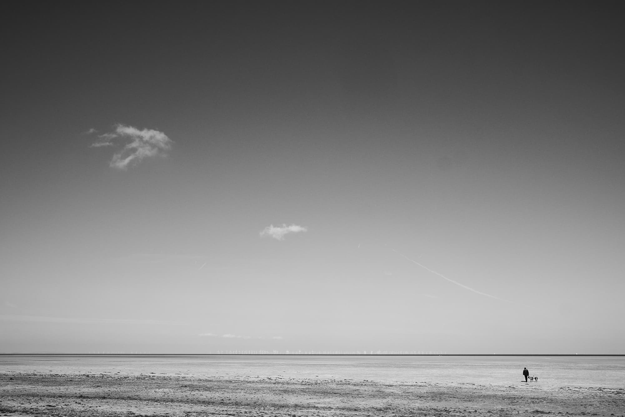 dog walker on Hoylake beach