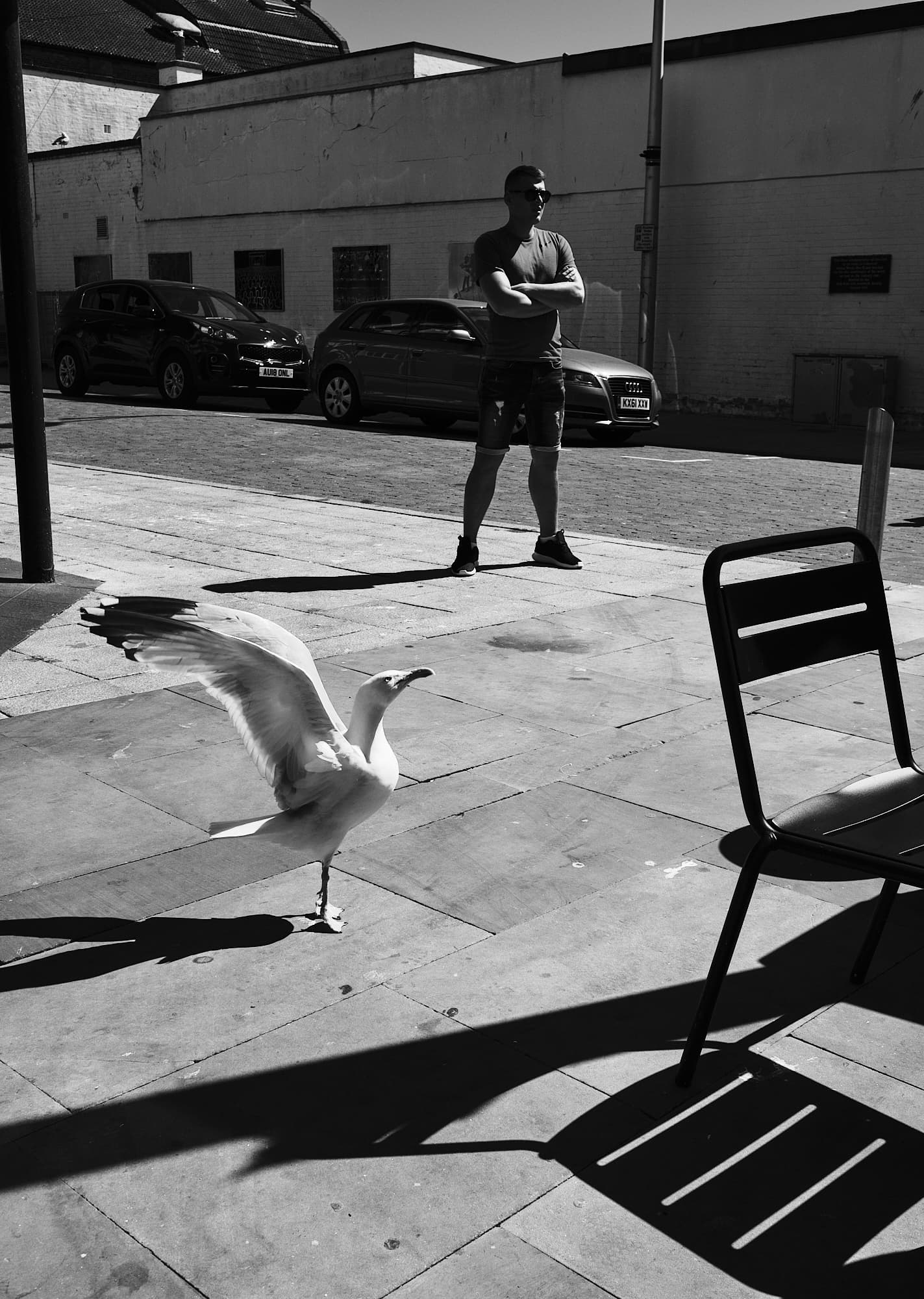 sea gull outside Starbucks in Lowestoft