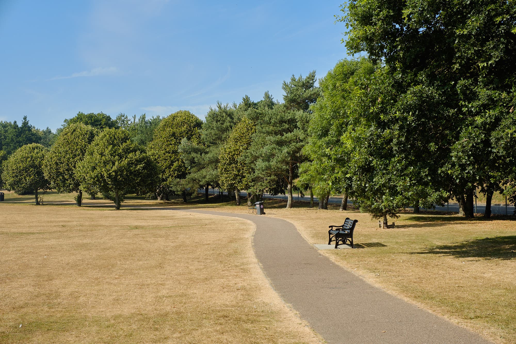 dry yellow grass in Normanston Park