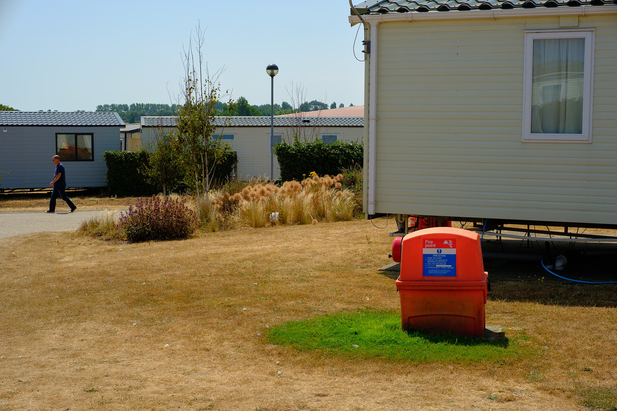 patch of green grass around a fire point