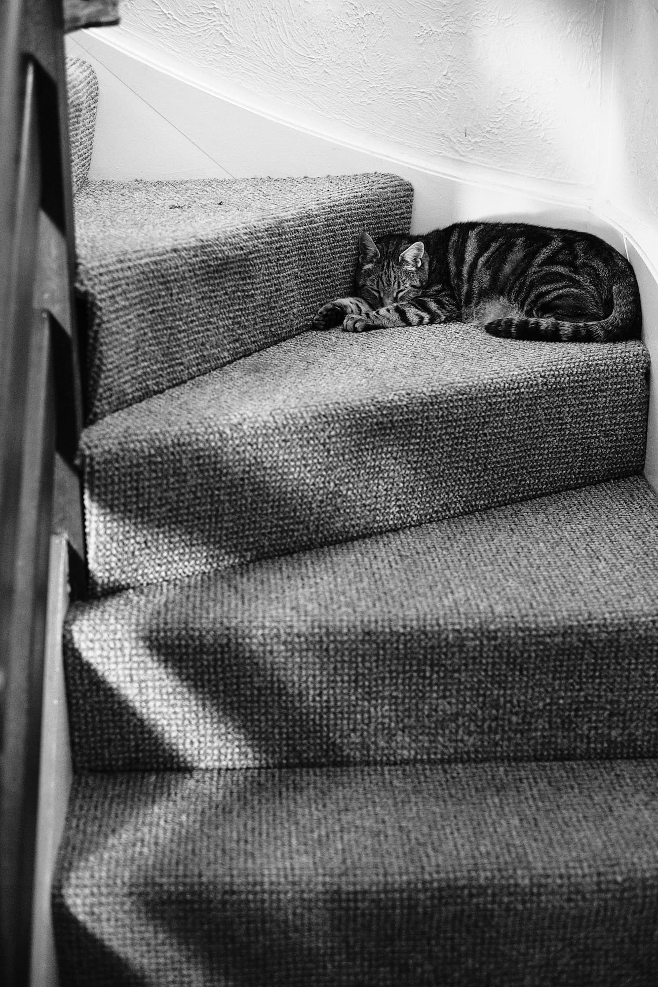 Tabbs on the stairs