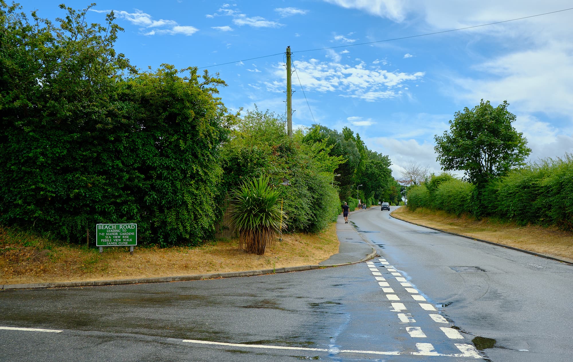 wet road and yellow grass