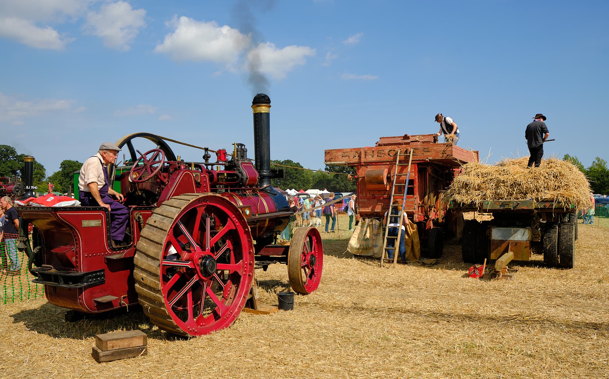 steam engines at Raveningham Country Fair