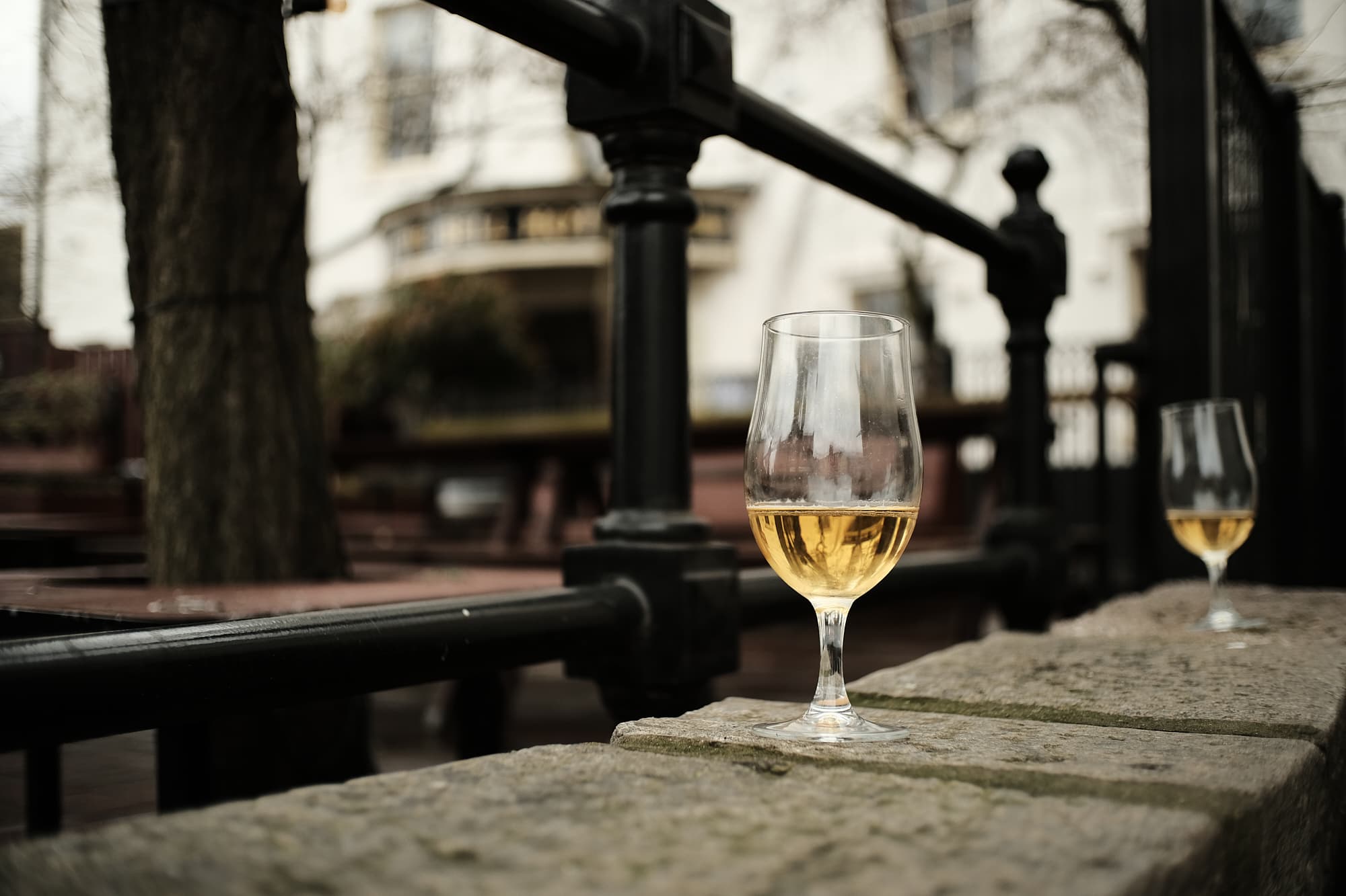 beer glasses on a wall