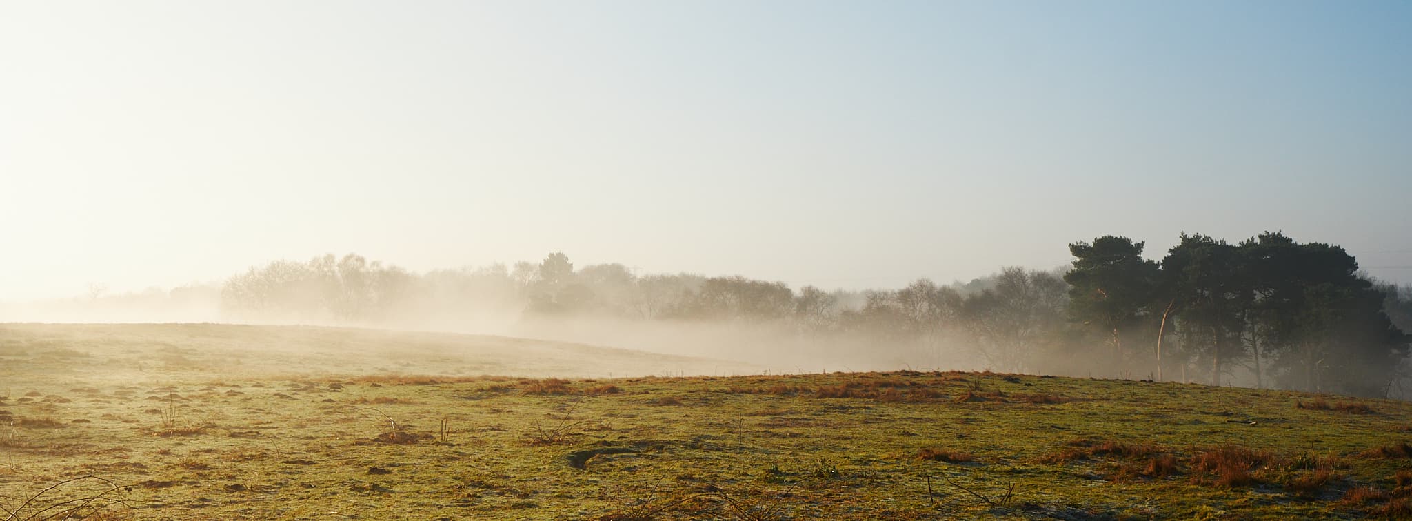 morning fog at the top of the hill at Lound Lakes