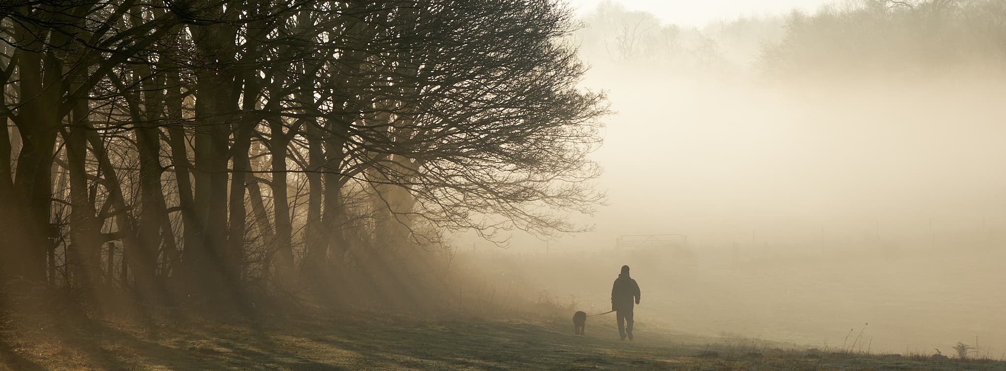 man walking his dog in the fog at Lound Lakes