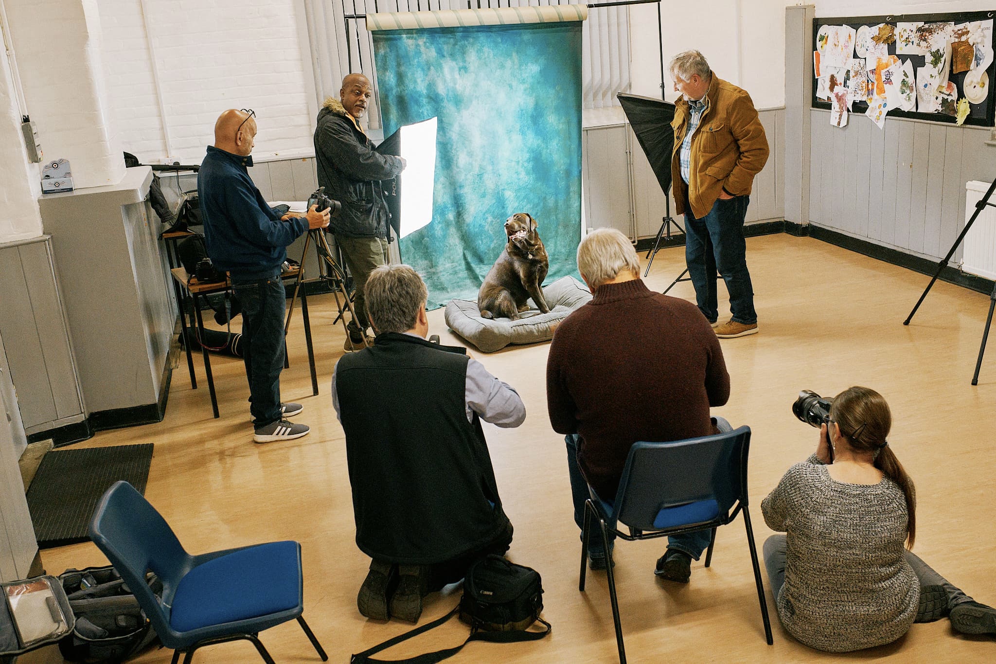 Hove being the centre of attention