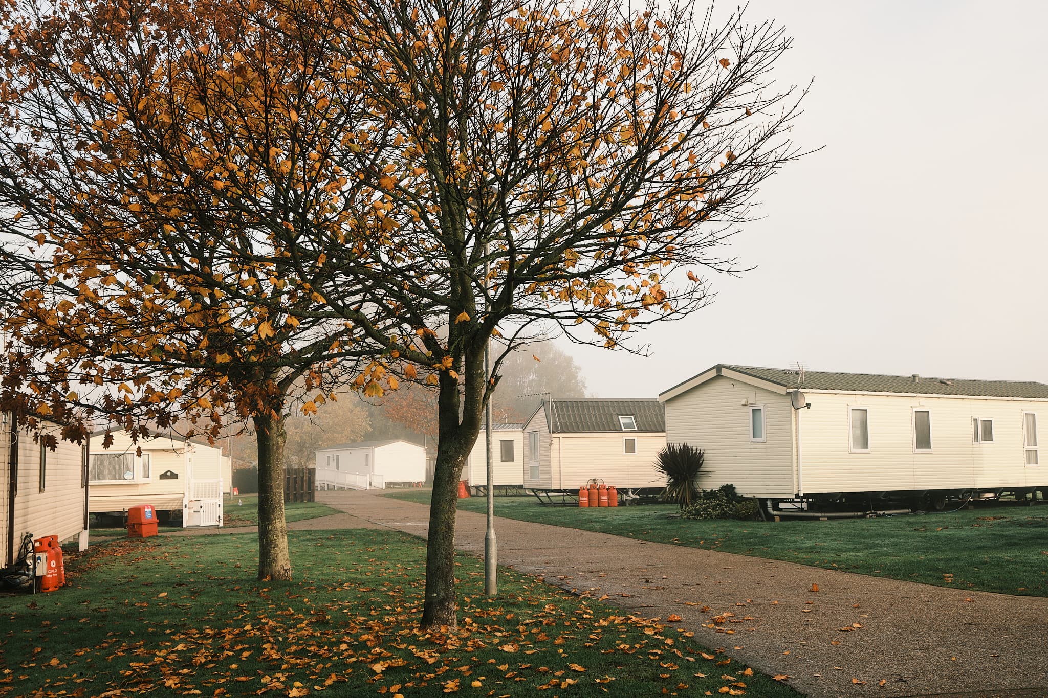 autumn trees in the caravan park