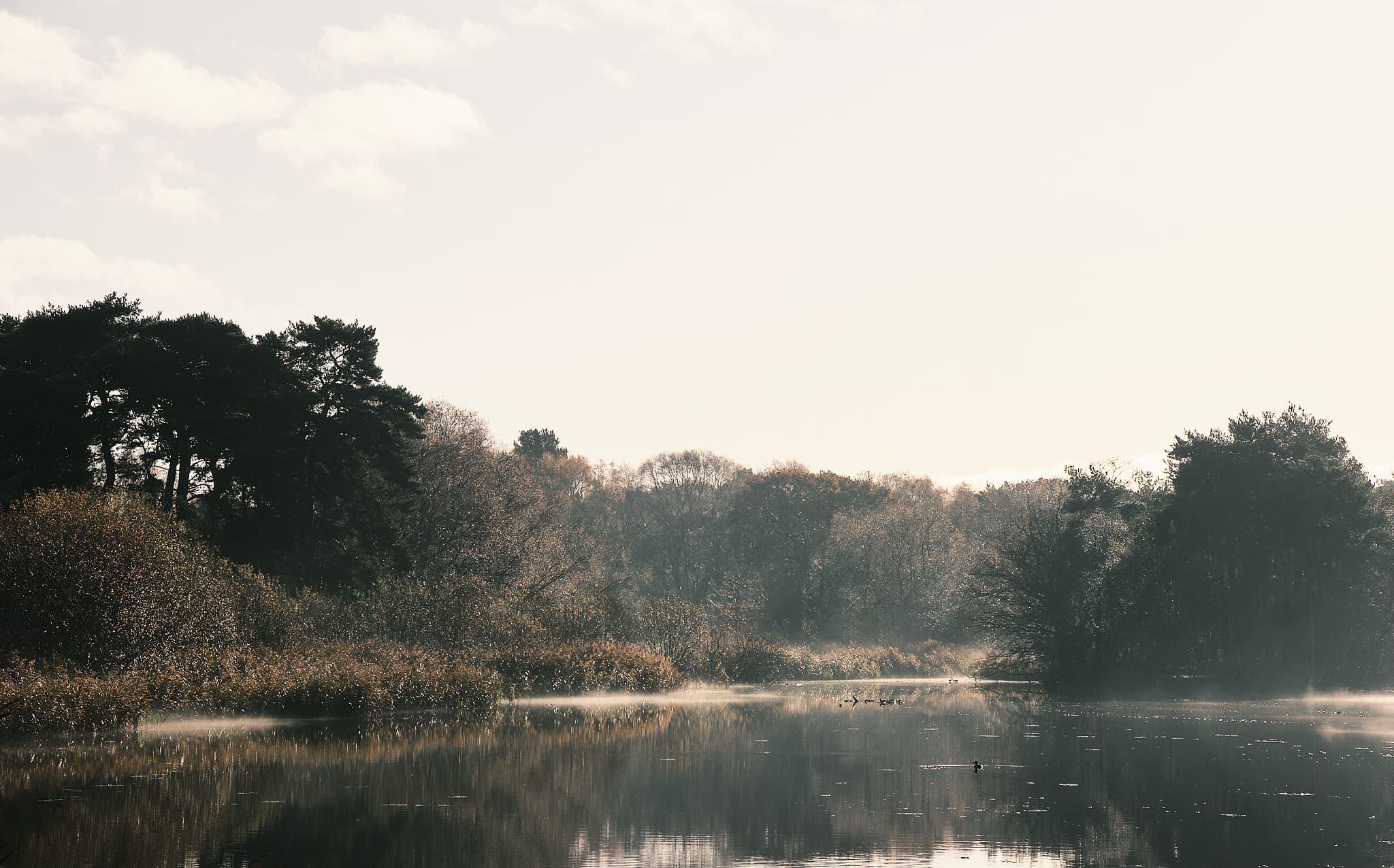 patchy fog over Lound Lakes