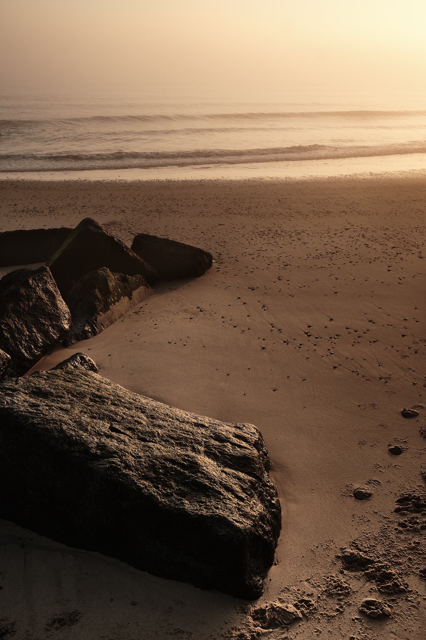 beach rocks at dawn