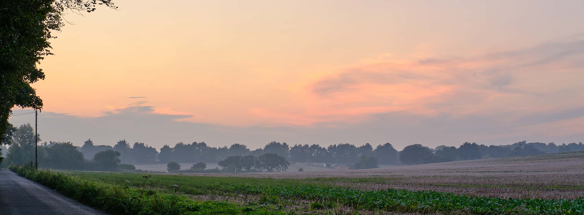 sunset clouds over a field, taken from the side of the road