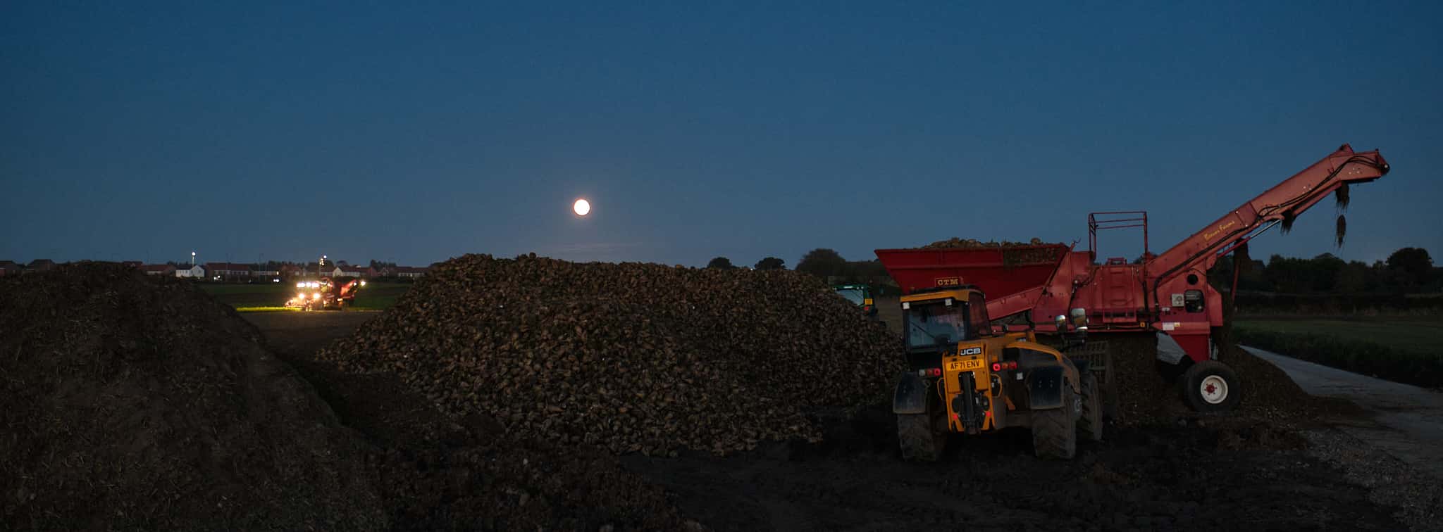 late evening potato farming, another shot taken from the side of the road