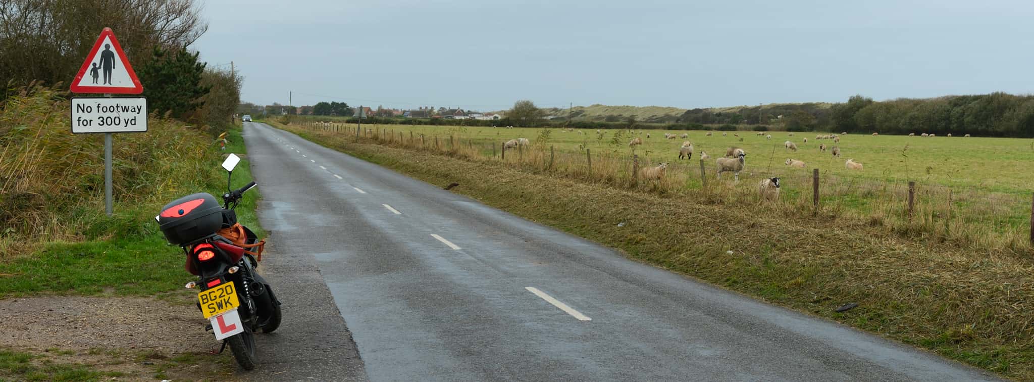 my bike parked at the side of the road opposite a field of sheep