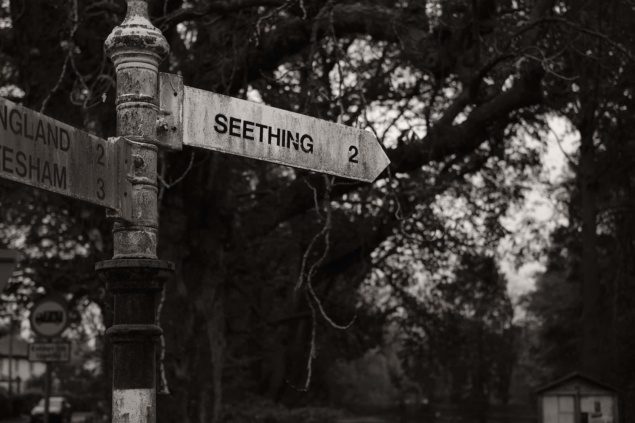 a sign pointing to the probably delightful village of Seething