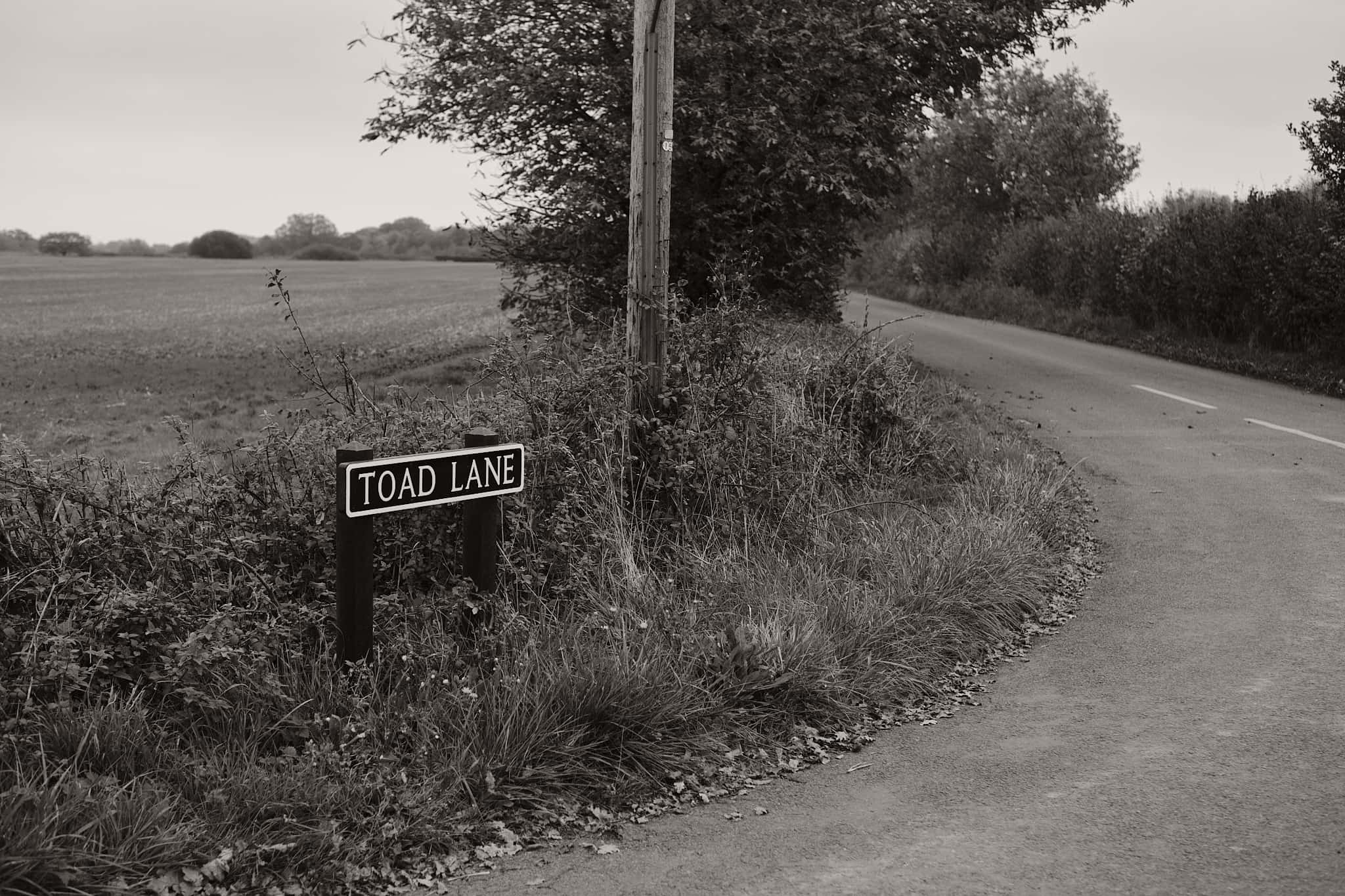 a junction at one end of Toad Lane